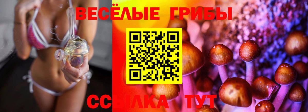Псилоцибиновые грибы Cubensis  Вход с VPN  Благовещенск  Псилоцибиновые грибы Psilocybe 